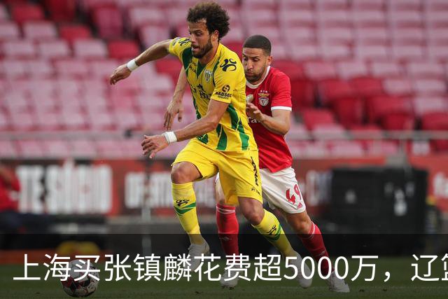 上海买张镇麟花费超5000万，辽篮赚大了王朝却为何崩塌？