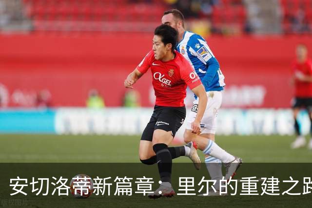 安切洛蒂新篇章：里尔的重建之路即将开启