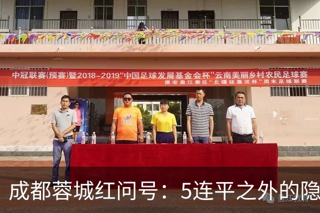 成都蓉城红问号：5连平之外的隐忧 亟需“一致对外”