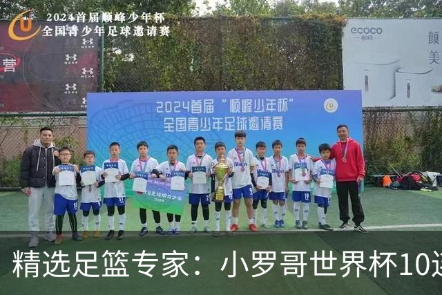 精选足篮专家：小罗哥世界杯10连红长线16中14！